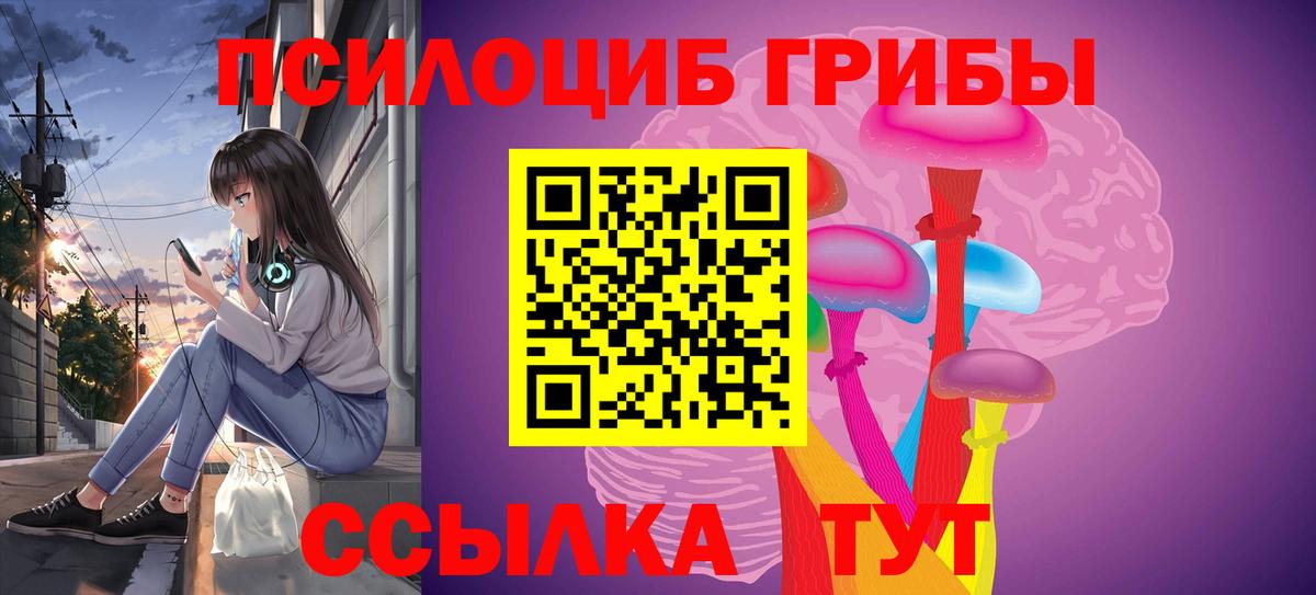 Галлюциногенные грибы мицелий  где купить наркоту  Псилоцибиновые грибы ЛСД  Светлоград  Вход с VPN 